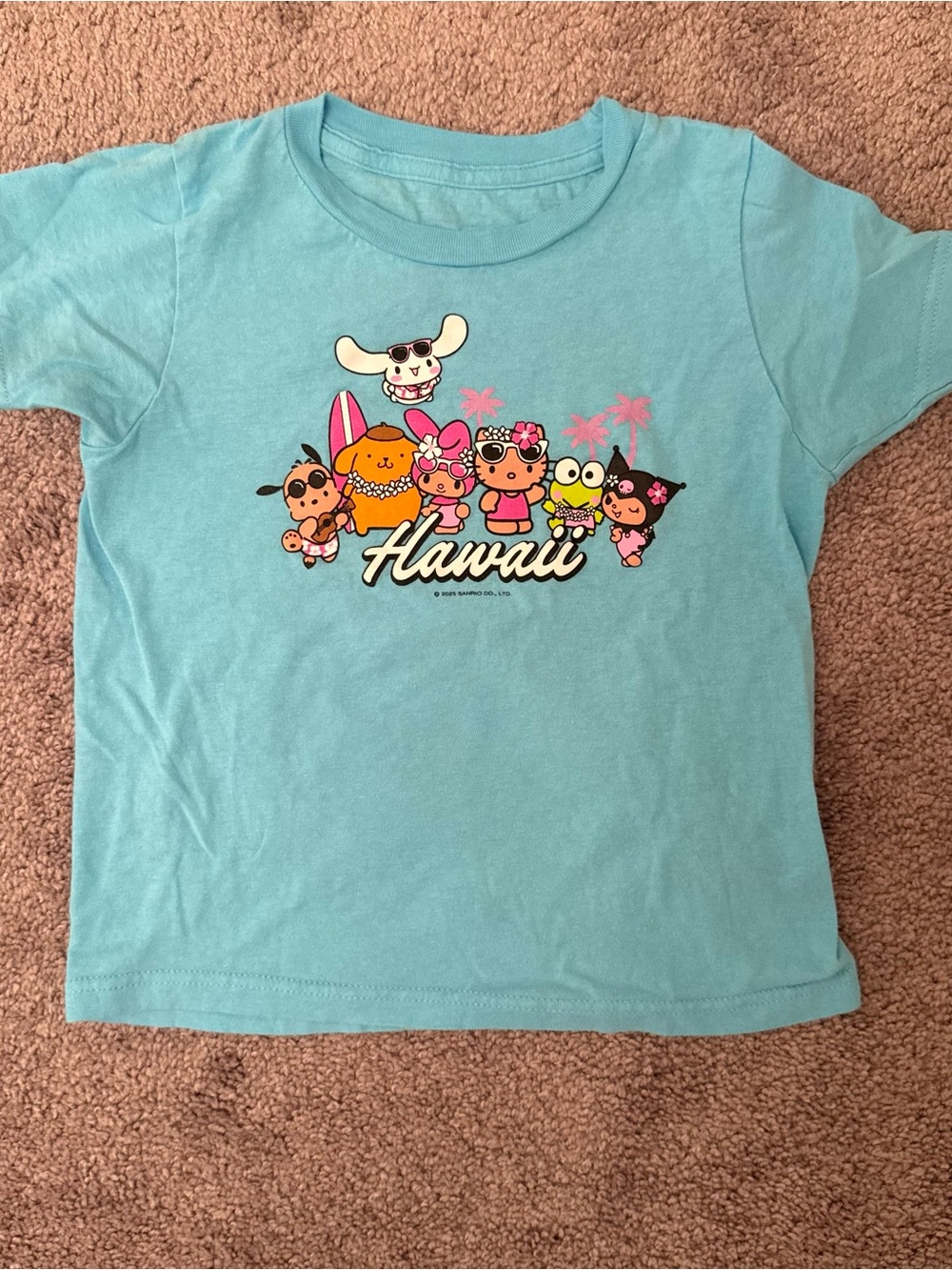 Sanrio Hawaii Graphic Tee